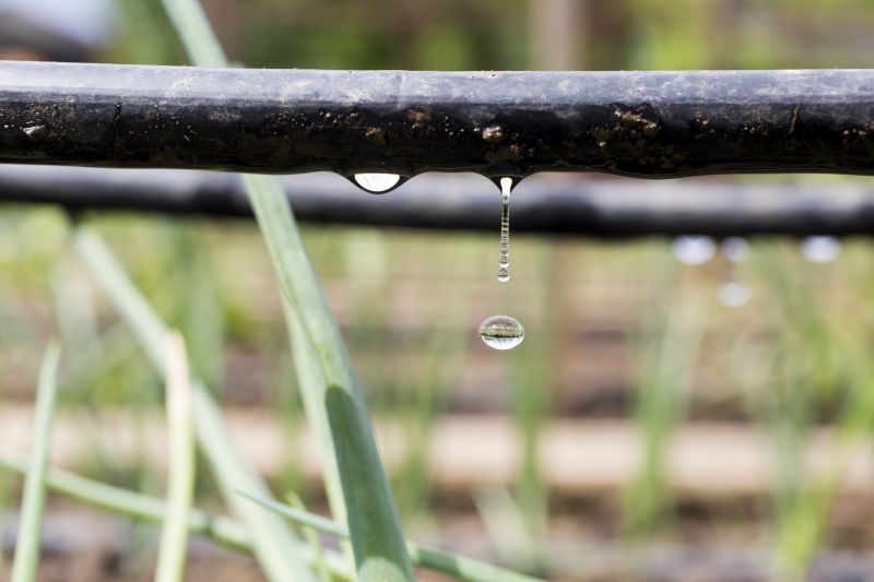Drip Irrigation Repair