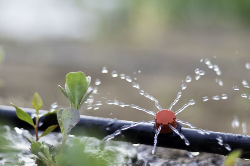 Cost of Drip Irrigation Repair — Cost of Drip Irrigation Repair
